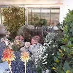 Amazing Semi-basement Art Easy Walk To Centre *