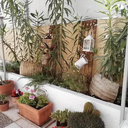 Amazing Semi-basement Art Easy Walk To Centre Apartment