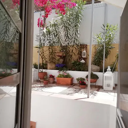 Amazing Semi-basement Art Easy Walk To Centre Apartment