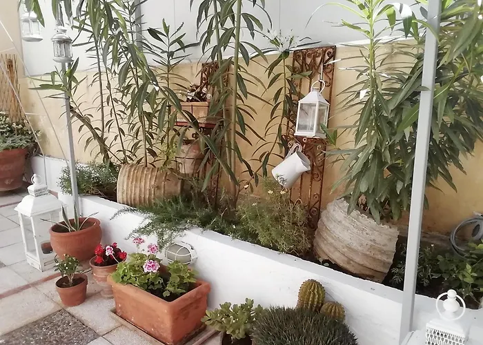 Amazing Semi-basement Art Easy Walk To Centre Apartment